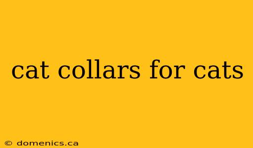 cat collars for cats