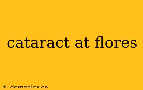 cataract at flores