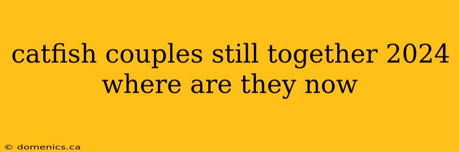 catfish couples still together 2024 where are they now