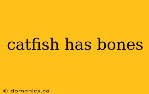 catfish has bones