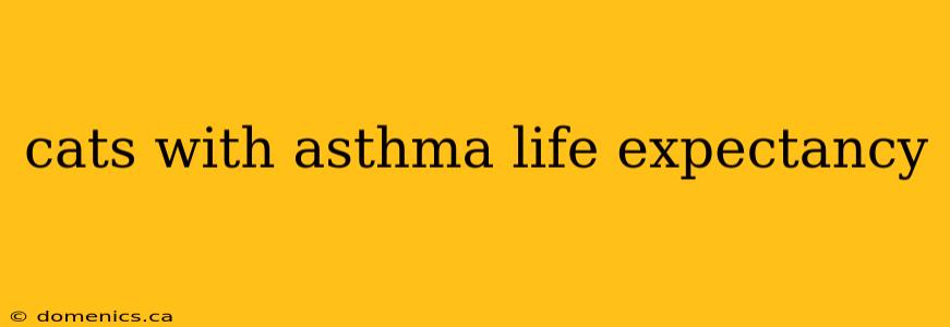 cats with asthma life expectancy