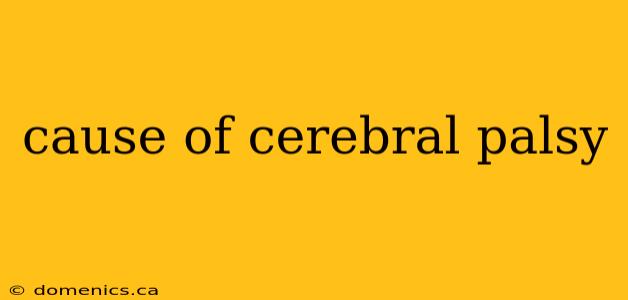 cause of cerebral palsy