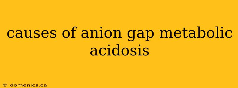 causes of anion gap metabolic acidosis