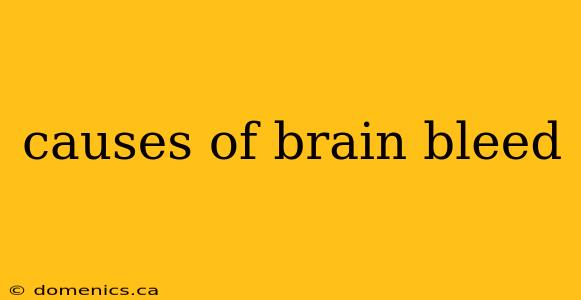 causes of brain bleed