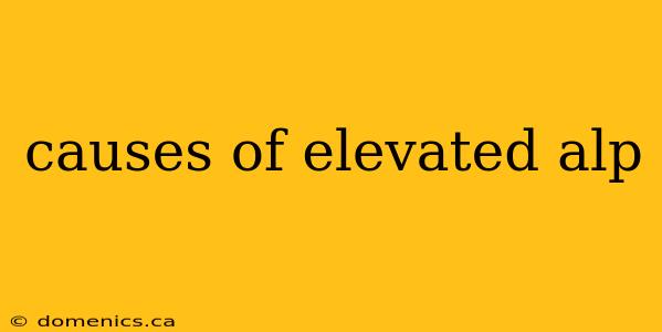 causes of elevated alp