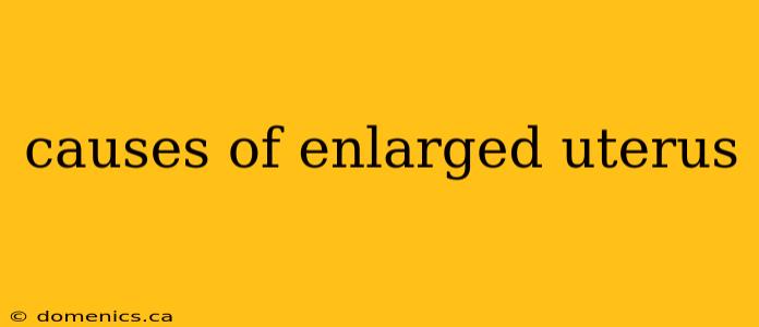 causes of enlarged uterus