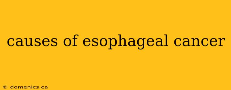 causes of esophageal cancer