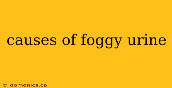 causes of foggy urine