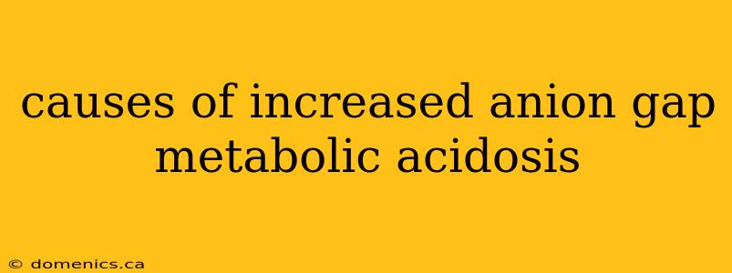 causes of increased anion gap metabolic acidosis