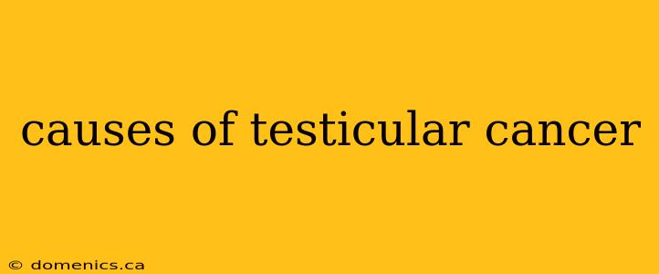 causes of testicular cancer