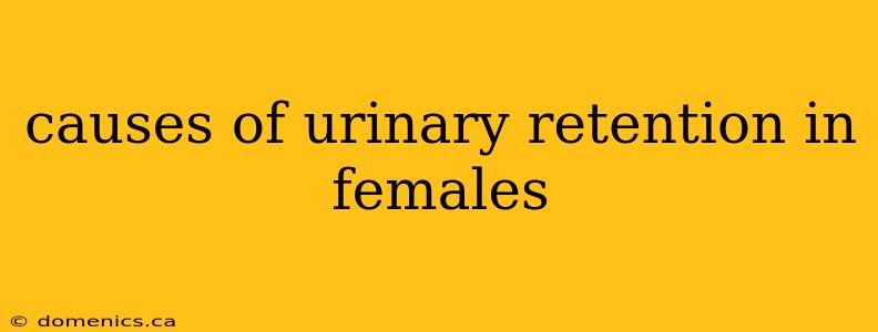 causes of urinary retention in females