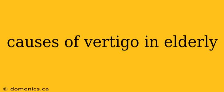 causes of vertigo in elderly