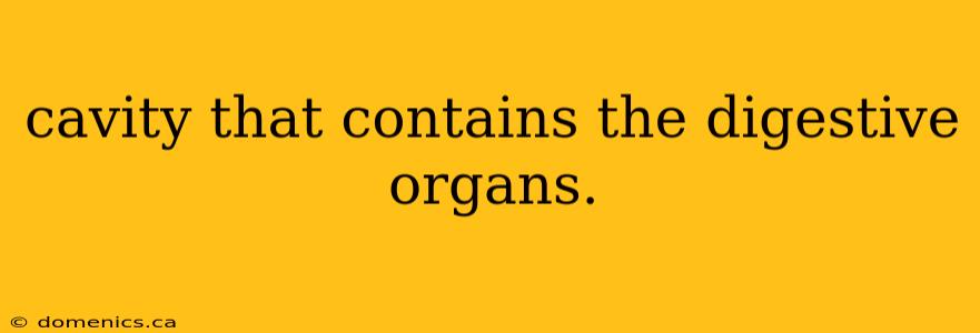 cavity that contains the digestive organs.