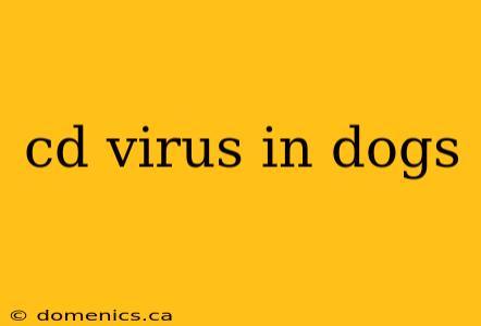 cd virus in dogs