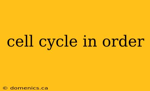 cell cycle in order