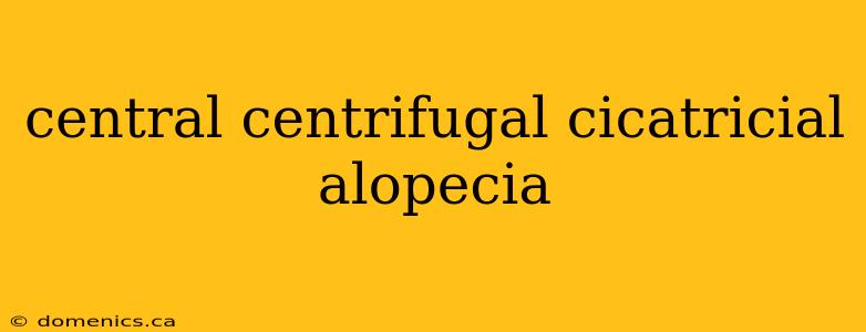 central centrifugal cicatricial alopecia