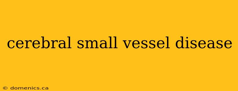 cerebral small vessel disease