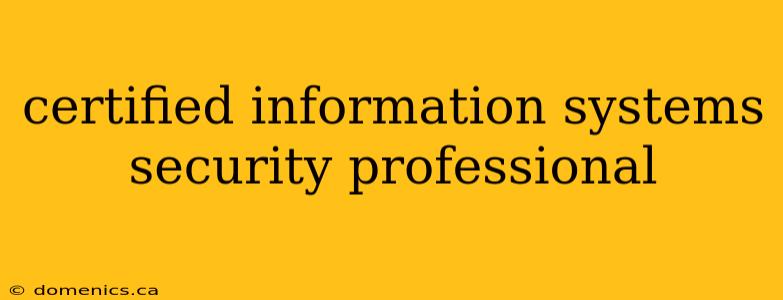 certified information systems security professional