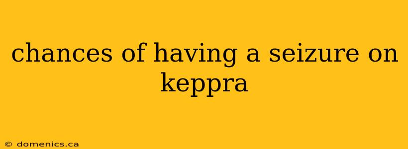 chances of having a seizure on keppra