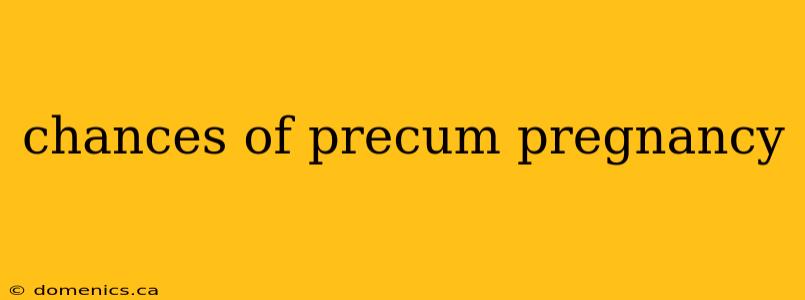 chances of precum pregnancy