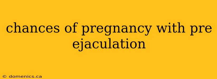 chances of pregnancy with pre ejaculation