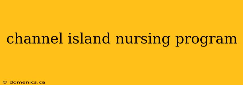 channel island nursing program