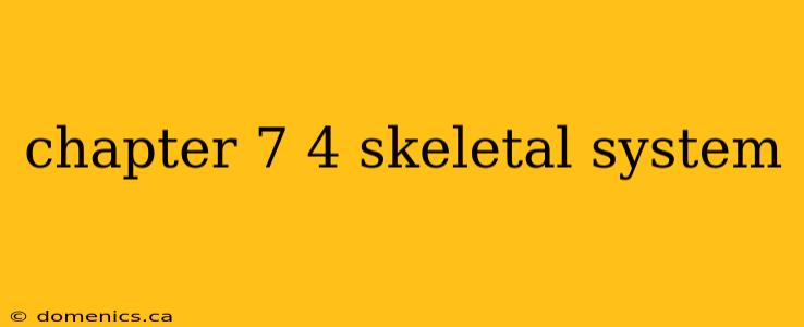 chapter 7 4 skeletal system