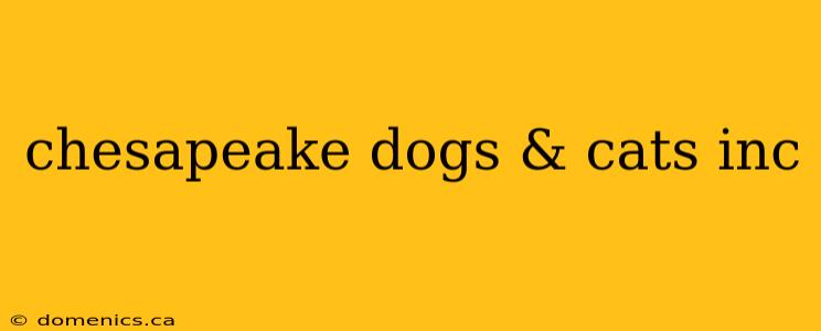 chesapeake dogs & cats inc