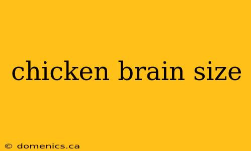 chicken brain size