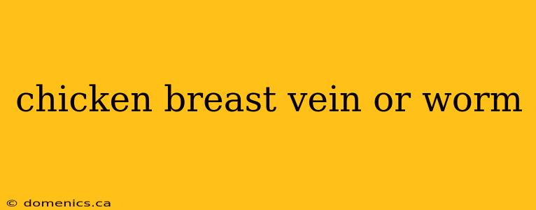 chicken breast vein or worm