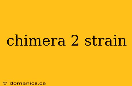 chimera 2 strain