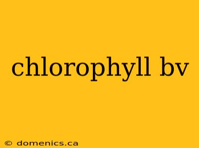 chlorophyll bv