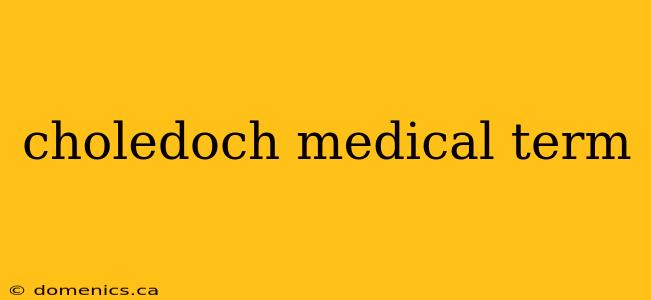 choledoch medical term