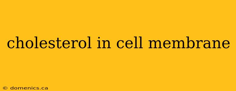 cholesterol in cell membrane