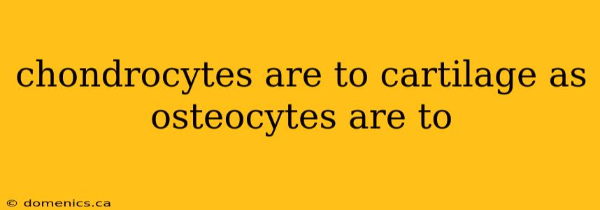 chondrocytes are to cartilage as osteocytes are to