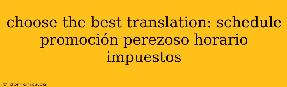 choose the best translation: schedule promoción perezoso horario impuestos