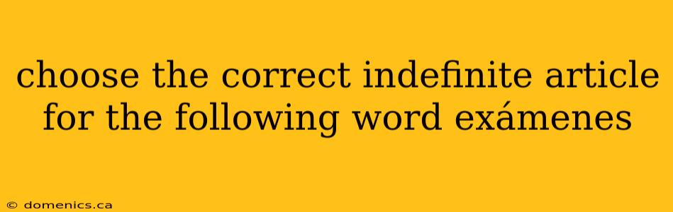 choose the correct indefinite article for the following word exámenes