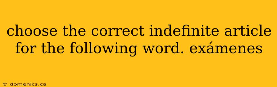 choose the correct indefinite article for the following word. exámenes