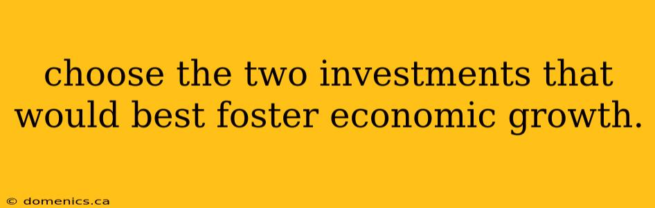 choose the two investments that would best foster economic growth.