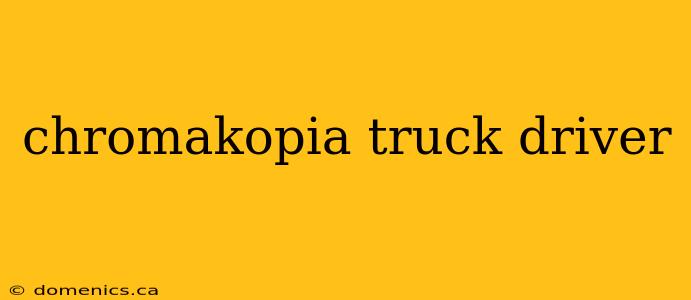 chromakopia truck driver