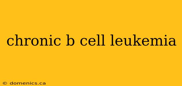 chronic b cell leukemia