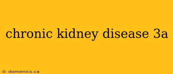 chronic kidney disease 3a