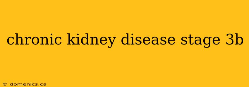 chronic kidney disease stage 3b