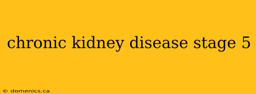 chronic kidney disease stage 5