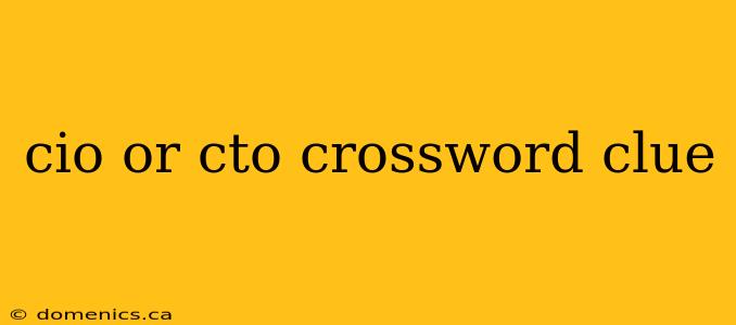 cio or cto crossword clue