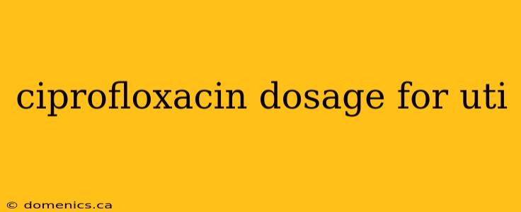 ciprofloxacin dosage for uti