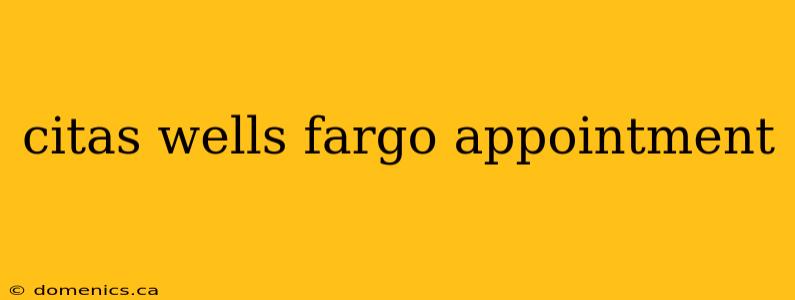 citas wells fargo appointment