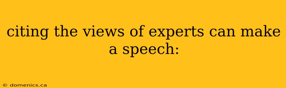 citing the views of experts can make a speech: