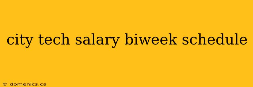 city tech salary biweek schedule