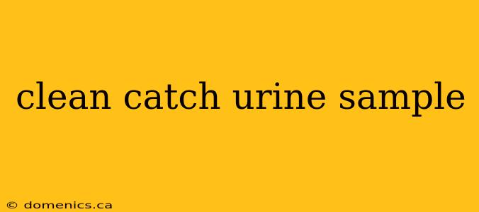 clean catch urine sample